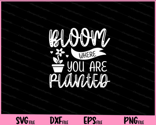 Bloom Where You Are Planted Svg Cutting Printable Files  - Premium Cutting Files in SVG, PNG & EPS Formats - Premium SVG Cutting Files for Crafts