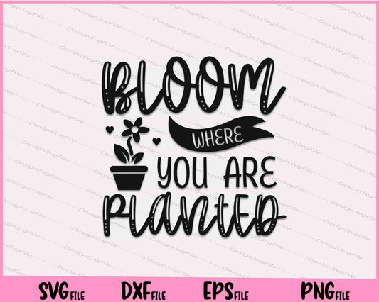 Bloom Where You Are Planted Svg Cutting Printable Files  - Premium Cutting Files in SVG, PNG & EPS Formats - Premium SVG Cutting Files for Crafts