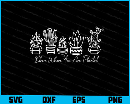 Bloom Where You Are Planted Svg Cutting Printable File  - Premium Cutting Files in SVG, PNG & EPS Formats - Premium SVG Cutting Files for Crafts