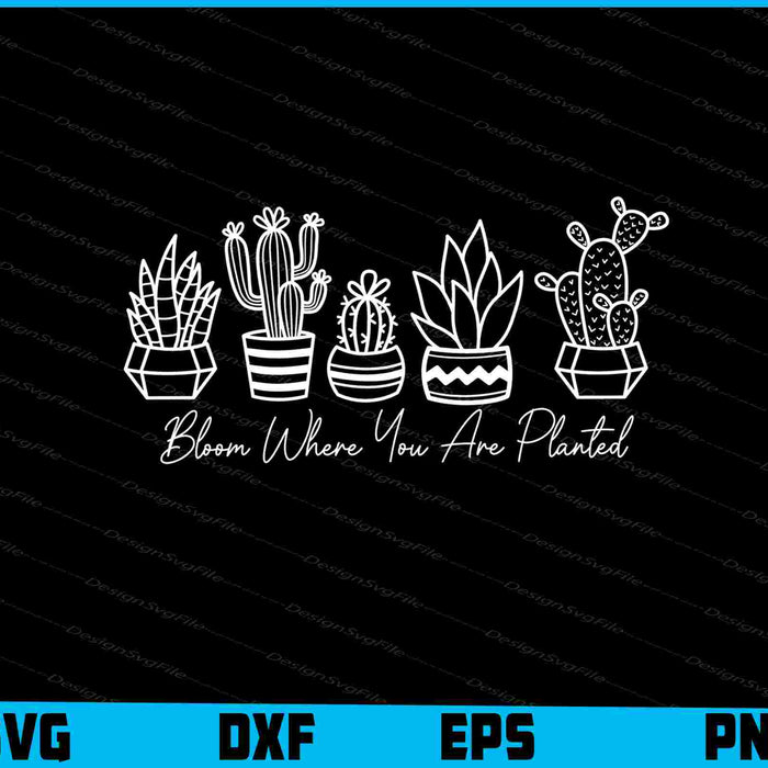 Bloom Where You Are Planted Svg Cutting Printable File  - Premium Cutting Files in SVG, PNG & EPS Formats - Premium SVG Cutting Files for Crafts