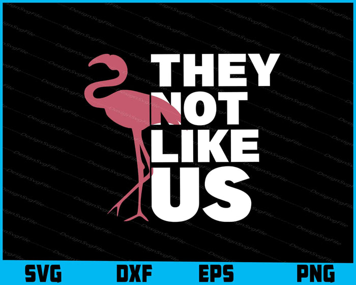 Flamingo SVG, They Not Like Us SVG
