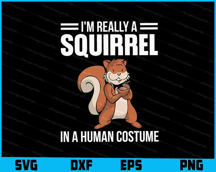 Collection of squirrel-themed designs with text and graphics on a black background.