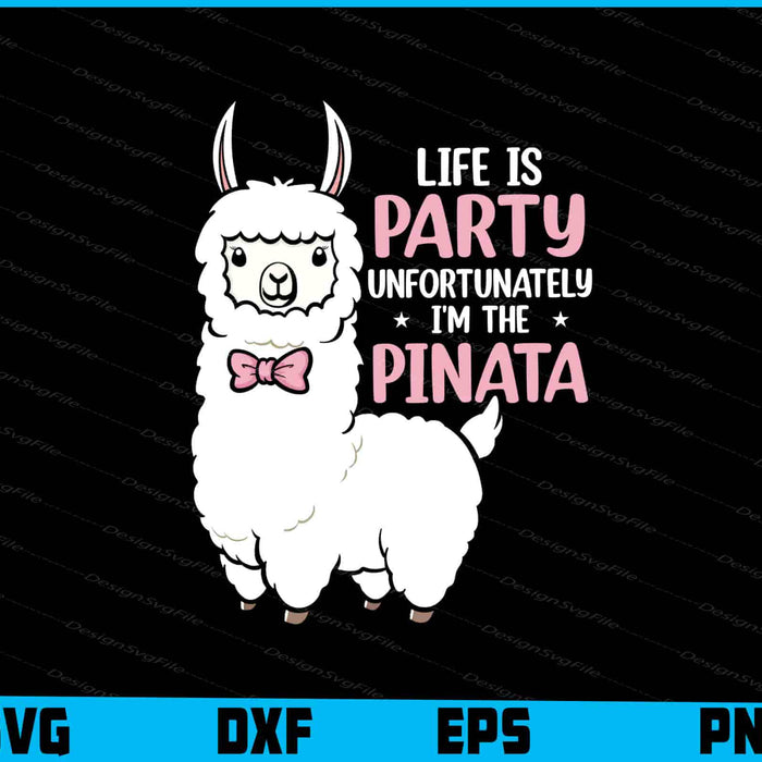 Life Is A Party Unfortunately I'm The Pinata
