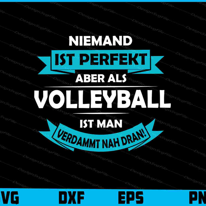 Niemand Ist Perfekt Aber Als Vollyballer