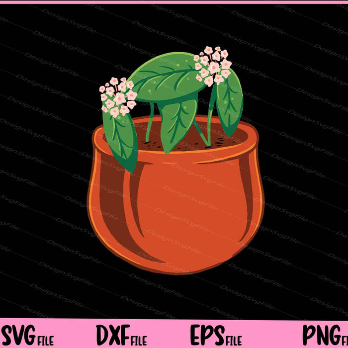 Plant Hoya Carnosa Svg Cutting Printable Files  - Premium Cutting Files in SVG, PNG & EPS Formats - Premium SVG Cutting Files for Crafts