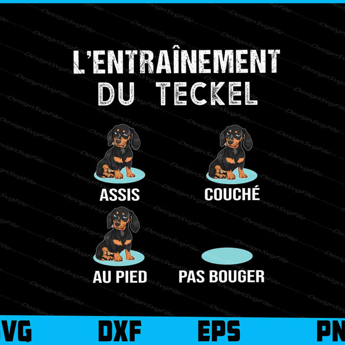 Teckel - Éducation Chien SVG