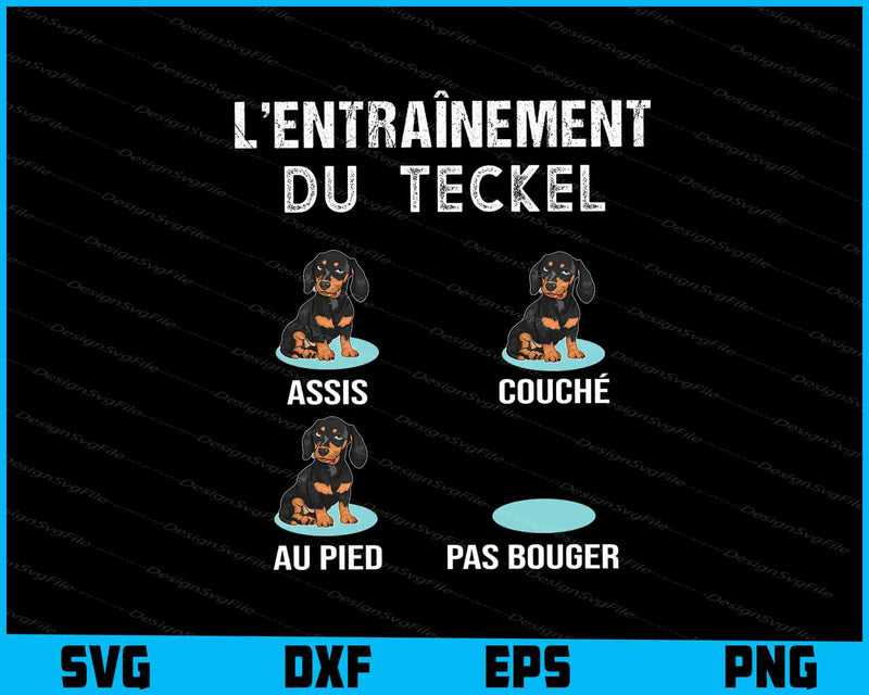 Teckel - Éducation Chien SVG