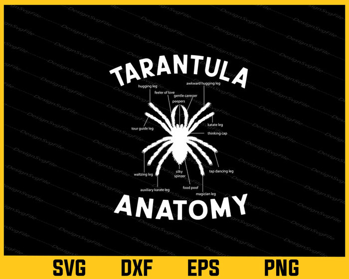 Tarantula Anatomy Svg Cutting Printable File  - Premium Cutting Files in SVG, PNG & EPS Formats - Premium SVG Cutting Files for Crafts