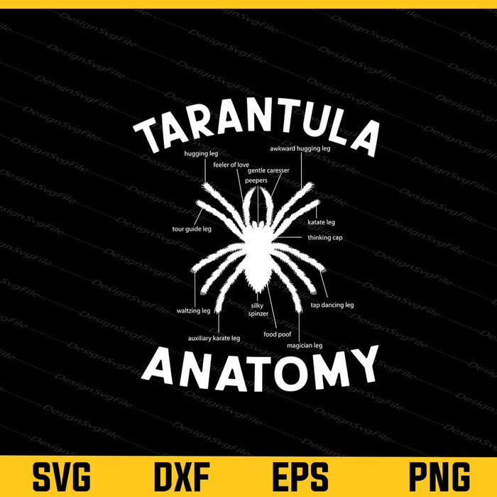 Tarantula Anatomy Svg Cutting Printable File  - Premium Cutting Files in SVG, PNG & EPS Formats - Premium SVG Cutting Files for Crafts