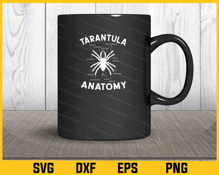Tarantula Anatomy Svg Cutting Printable File  - Premium Cutting Files in SVG, PNG & EPS Formats - Premium SVG Cutting Files for Crafts